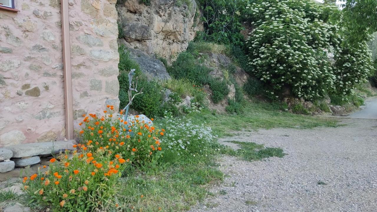 Casa Sisco. Grans Vistes Al Montsec I Panta De Camarasa Villa Ager Bagian luar foto